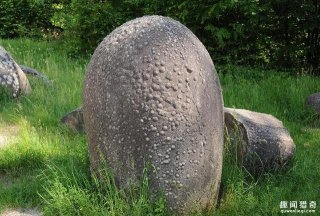 遇水会自己长大，还会跑，这么奇怪的石头