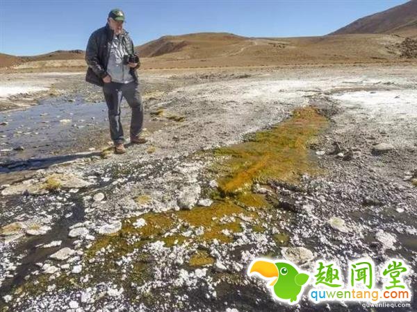 重大发现：我们好像找到了火星生物遗迹！