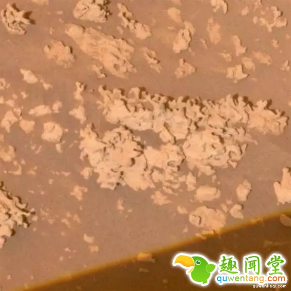 重大发现：我们好像找到了火星生物遗迹！