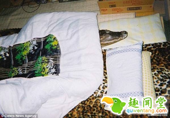 只要一有空，信光就会带凯门外出散步。他的这些举动不仅引起邻里的注意，还引来了记者的关注。当地一家电视台曾跟拍过信光与凯门的日常。