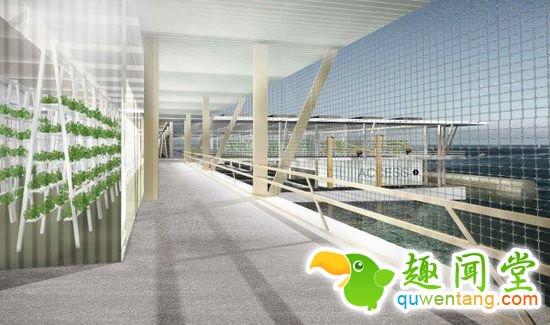 海上巨型漂浮农场，年产10吨食物