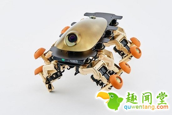 这个奇葩的八脚机器人是未来的交通工具