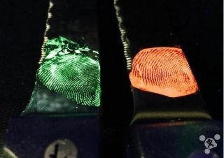 澳洲科学家发明指纹提取新技术 黑暗中可