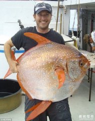 渔民捕获深海巨型海鱼 体型奇怪