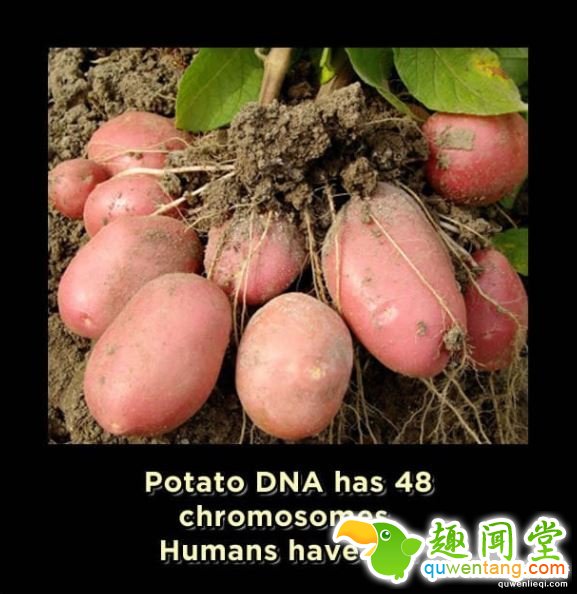 15个让你瞬间觉得自己是外星人的「吓死人地球冷知识」。#11英文也有象形文字!