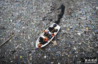 厉害了！科学家发现这虫子竟能拯救环境