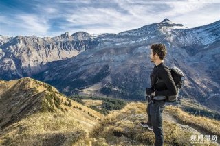这张图中竟藏有一条爬行动物，网友找疯了