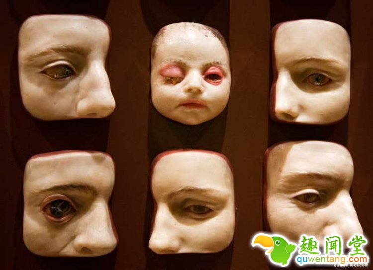 【深夜毒物】相信我，这家藏有奇异人体的博物馆你不会想进去的