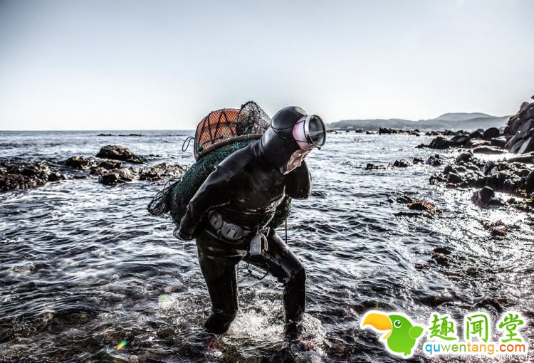 现实版美人鱼平均年龄70岁，你吃的美味都出自她们之手