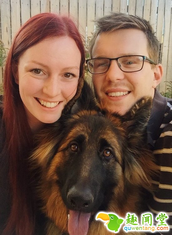 萌爆了！澳洲情侣拍照记录德牧大萌宝的成长