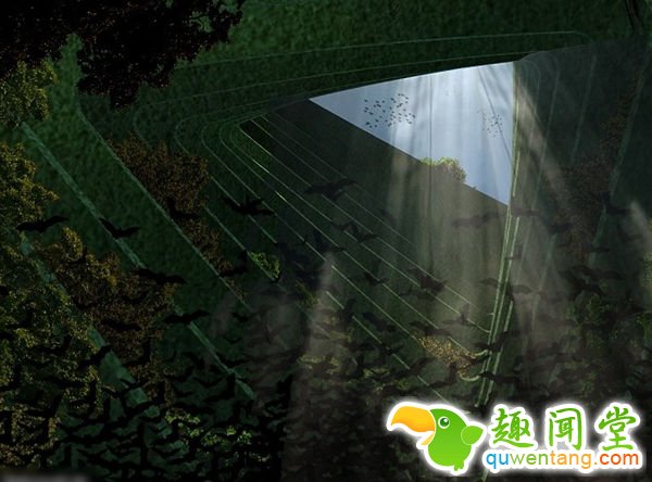 荷兰建筑师构想建立巨塔“海洋之树” 为动植物提供一个共同栖息之地--阿里百秀