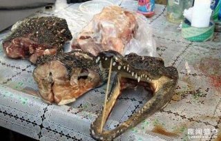 看哭！宁愿饿死你也绝对不会想吃的非洲重