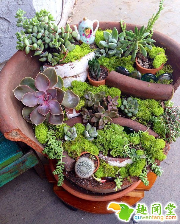 用破碎花盆DIY的漂亮花园--阿里百秀
