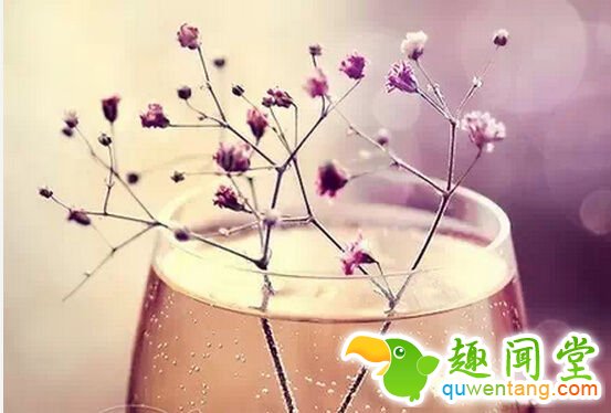 人，其实不需要太多的东西，只要健康的活着，真诚的爱着，也不失为一种富有 - 每天十句话,经典语录,人生感悟,情感语录,心灵鸡汤