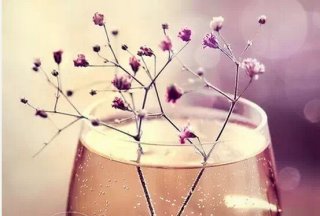 努力过好今天，直到有一天你除了坚强再无