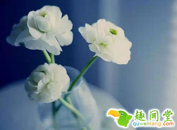 想不开，就不想，得不到，就不要，难为自己，何必? - 每天十句话,经典语录,人生感悟,情感语录,心灵鸡汤