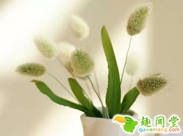 是你的，就是你的。不是你的，不必强求。努力了，珍惜了，问心无愧。其他的，交给命运 - 每天十句话,经典语录,人生感悟,情感语录,心灵鸡汤