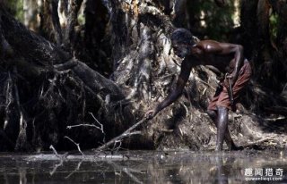 太剽悍了！这个地方的人以鳄鱼蜥蜴为食