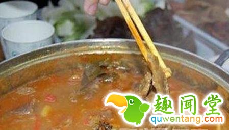 全球最昂贵的粪便美食 你敢吃吗？