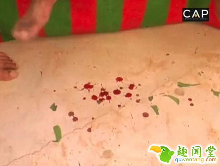 厉害了我的哥，印度老头常年表演被眼镜蛇咬舌头