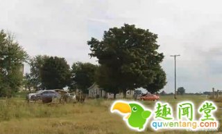 中间2只眼睛连一起！美一农场发现超怪异