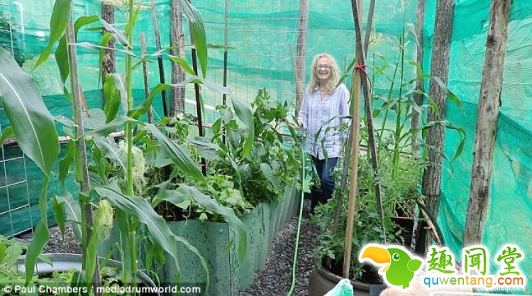 澳大利亚一对夫妻，用集装箱给自己造了栋房