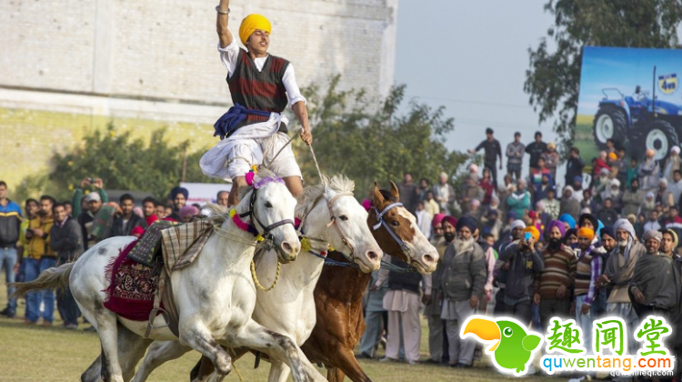 就是想红！所以印度人才拼命开挂自拍晒照