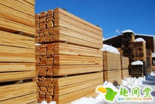 让你大开眼界的十大土豆妙用