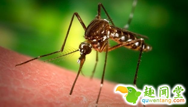 enhanced-buzz-27961-1337203872-14