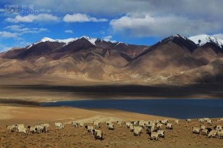 盘点国内最不坑爹的旅游景点！