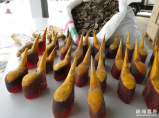 印尼海關(guān)找到大批“實(shí)心