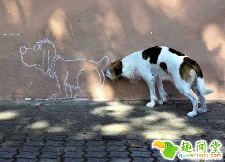 所谓的天时地利人和，说的就是这些照片