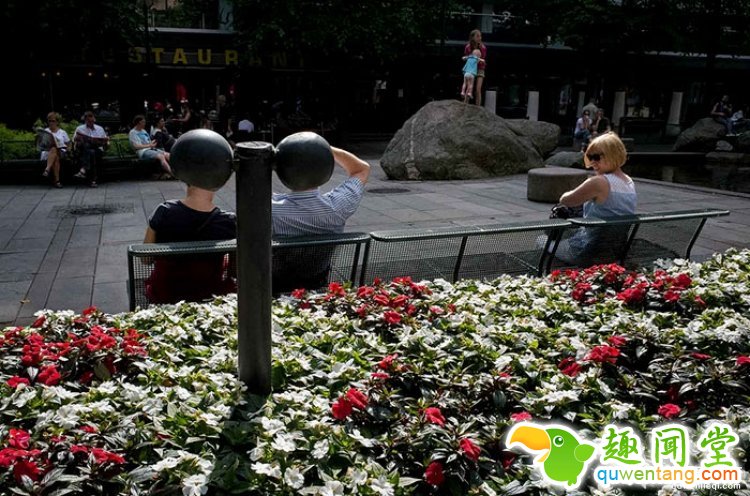 所谓的天时地利人和，说的就是这些照片