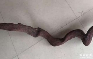 看他花30万买了根木头大家都很好奇，切开