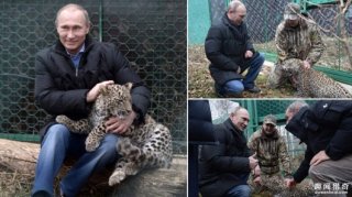 想要养只宠物狗？你只需要给普京写封信