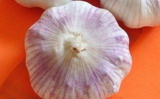 吃大蒜的五大好处!