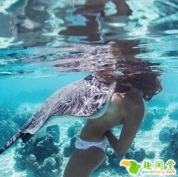 泰国模特和毒性黄貂鱼拍裸体合影，其实是想打破固有观念