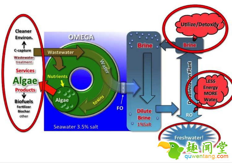 想在火星和地球上活命？人类需要这位NASA科学家