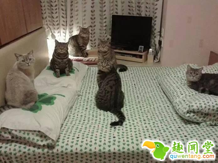 照片神吐槽，看着看着就笑了！