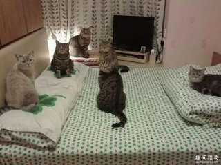 “亲爱的，吓死我了！我差点以为那个皮包