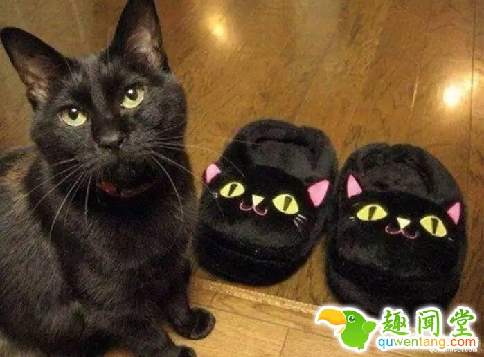 照片神吐槽，看着看着就笑了！