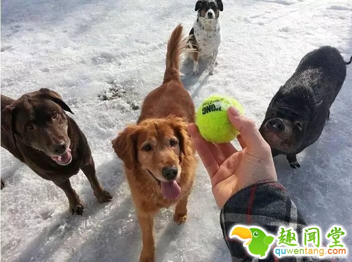 照片神吐槽，看着看着就笑了！