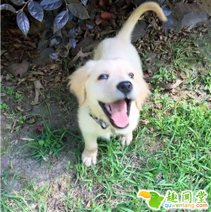 照片神吐槽，看着看着就笑了！