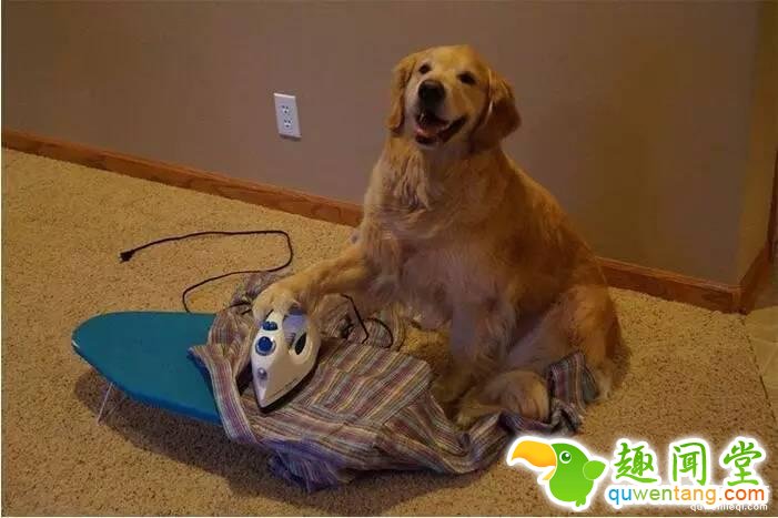 照片神吐槽，看着看着就笑了！