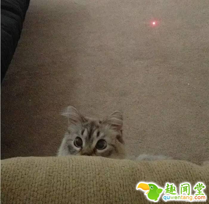 照片神吐槽，看着看着就笑了！