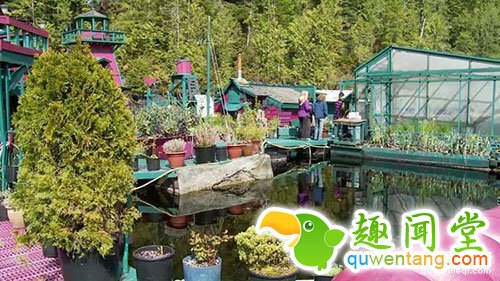 外国夫妇买不起房买荒岛 24年改造成完美梦想家园