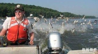 亚洲鲤鱼在美国泛滥成灾，女子用弓箭射鱼