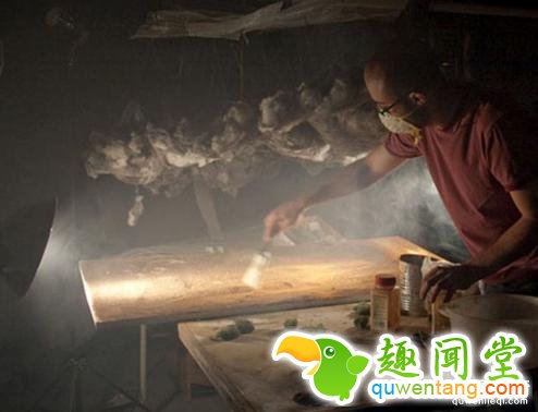 大揭秘：原来这些唯美的照片是这样拍的！