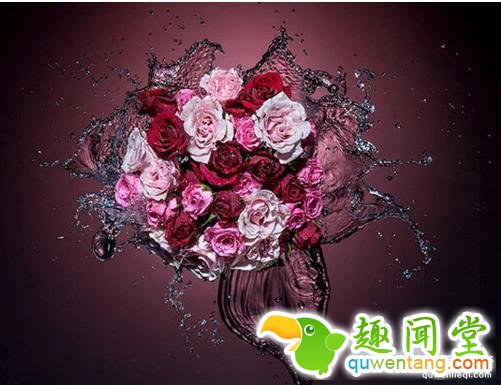 大揭秘：原来这些唯美的照片是这样拍的！