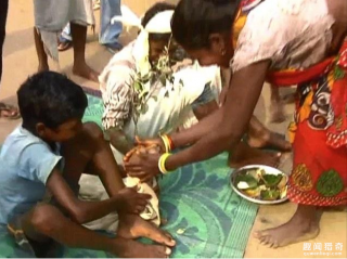 印度7岁男孩娶狗为妻？！结婚当天全村人